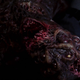 Hey look... I found that old picture of your mom!